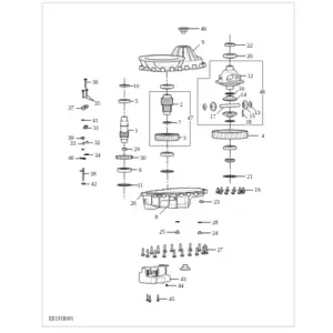 Domestic and overseas-The internal parts of transmission diagram