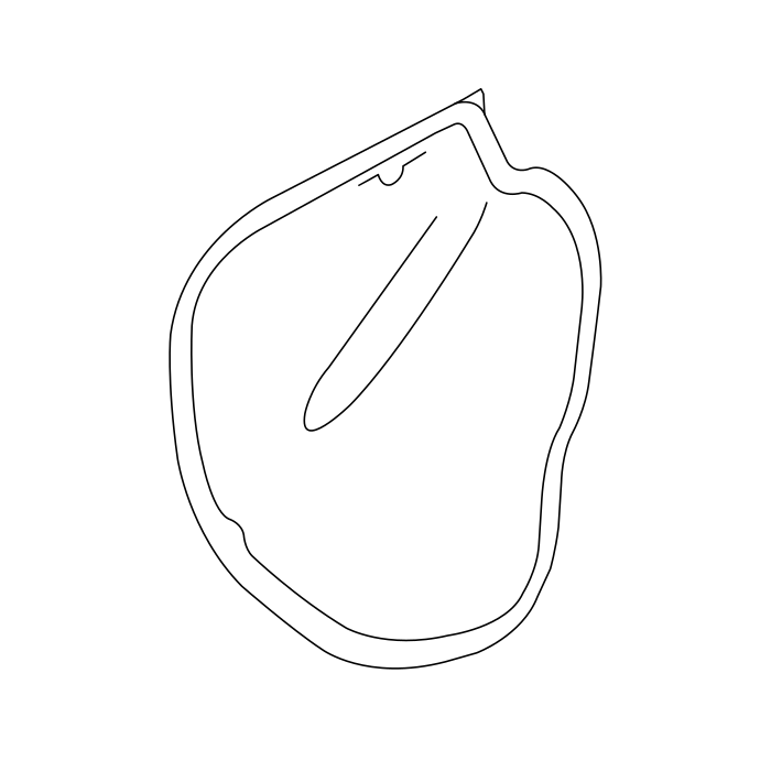 Genuine Maxus C00348969 Film-front Door Waterproof - technical drawing