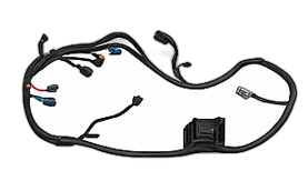 Body accessories harness