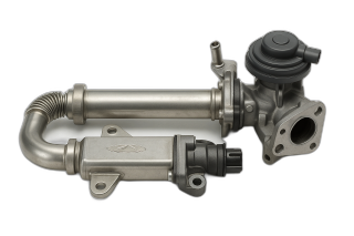 EGR ASM