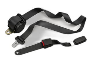 Safety Belt